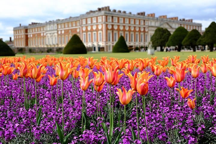Kid-Friendly Hampton Court Palace Tour with Blue Badge Guide photo 4