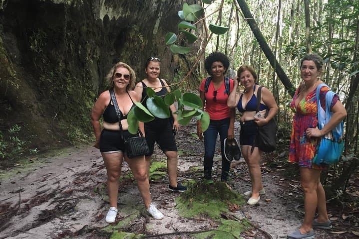Presidente Figueiredo Waterfalls & Caves Private Day Trip from Manaus photo 2
