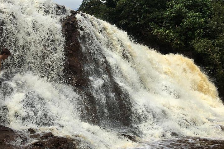 Presidente Figueiredo Waterfalls & Caves Private Day Trip from Manaus