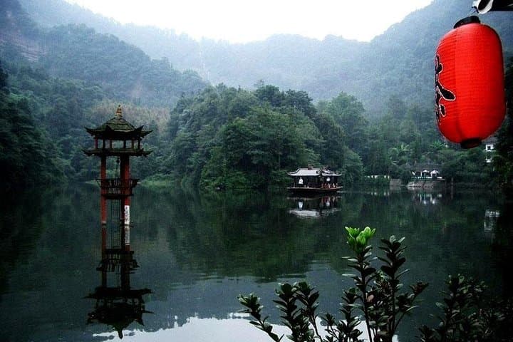 Pandas and Peaks: One-Day Trip to Dujiangyan Panda Base & Mount Qingcheng