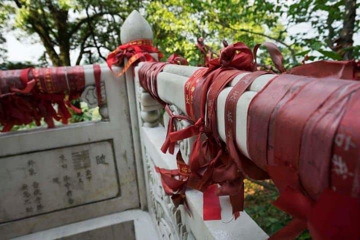 Pandas and Peaks: One-Day Trip to Dujiangyan Panda Base & Mount Qingcheng photo 5