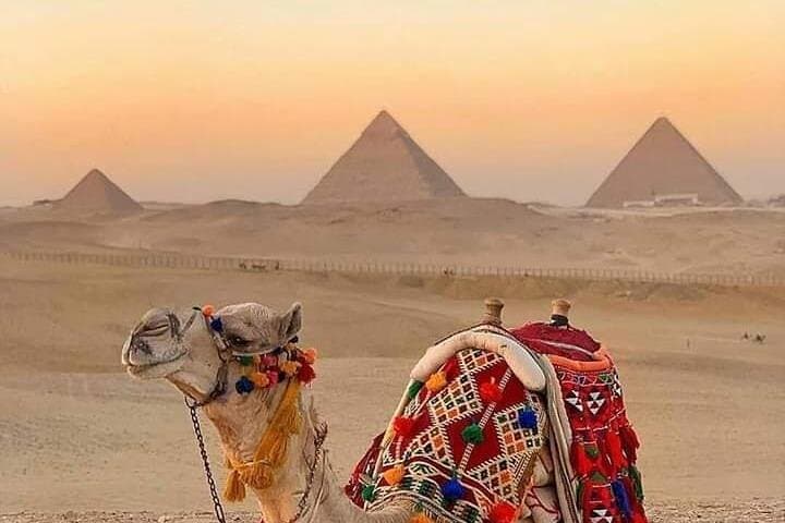 Giza Pyramids Camel and Horse Ride: 5-Hour Guided Tour photo 3