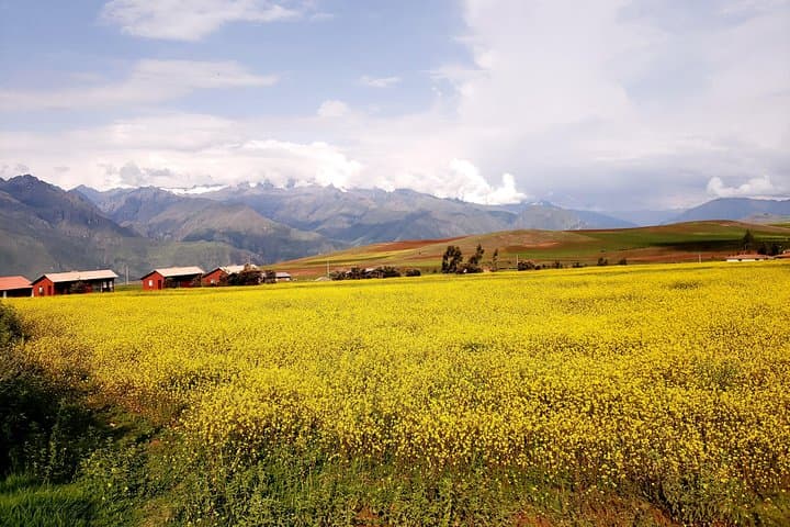 Sacred Valley Private Tour: Maras Salt Mines, Moray & Ollantaytambo Day Trip