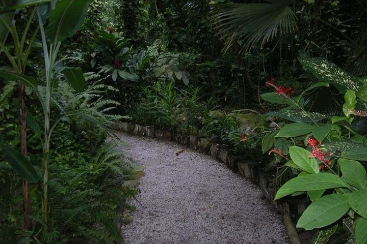 Soufriere Round-the-Island Tour: Pitons, Mud Baths & Waterfall Swim photo 2