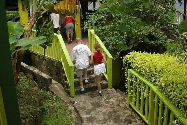 Soufriere Round-the-Island Tour: Pitons, Mud Baths & Waterfall Swim photo 3