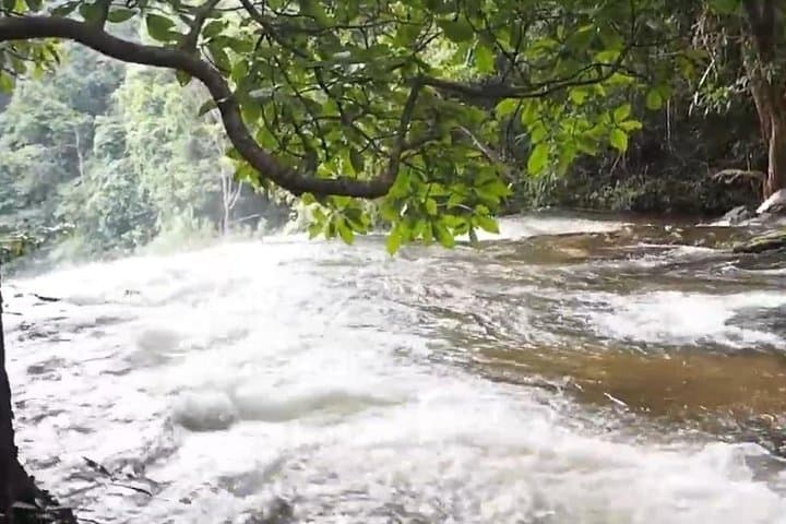 Doi Inthanon Day Trek: Pha Dok Siew Waterfall & Hill Tribe Rice Terraces photo 3