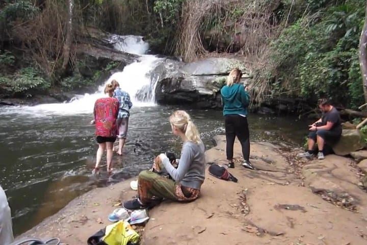 Doi Inthanon Day Trek: Pha Dok Siew Waterfall & Hill Tribe Rice Terraces photo 4