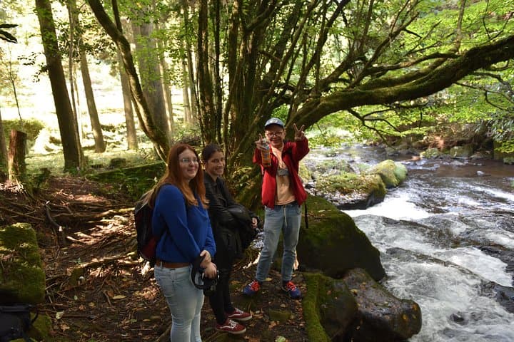 Aso Caldera & Farm Experience: Volcano Views and Farm-to-Table Lunch photo 6