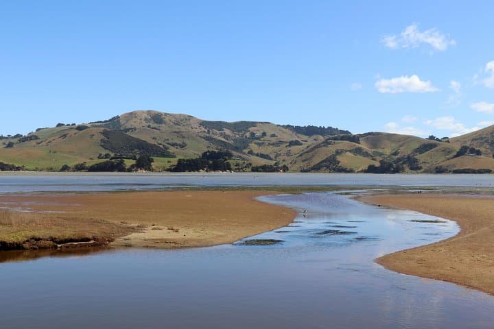 Dunedin City & Otago Peninsula Wildlife Day Tour — Larnach Castle, Sandfly Bay & Allans Beach