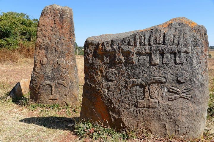 Tiya Stelae & Lake Ziway: UNESCO Archaeology and Rift Valley Birding photo 4