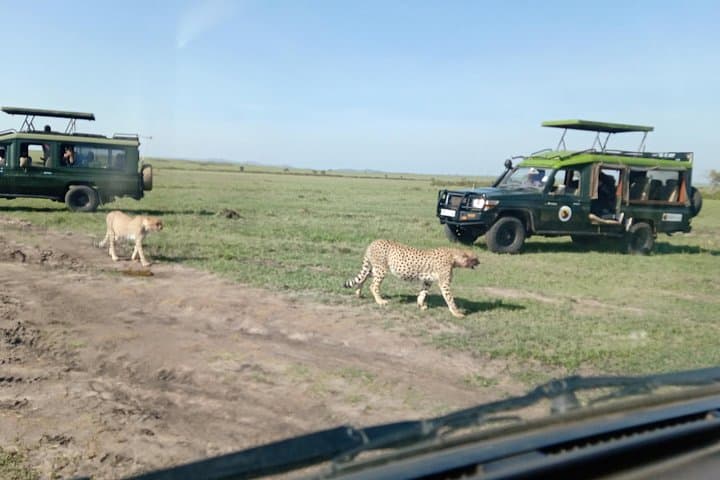 13-Day Photographers Safari in Kenya: Capture the Big Five and Beyond photo 4