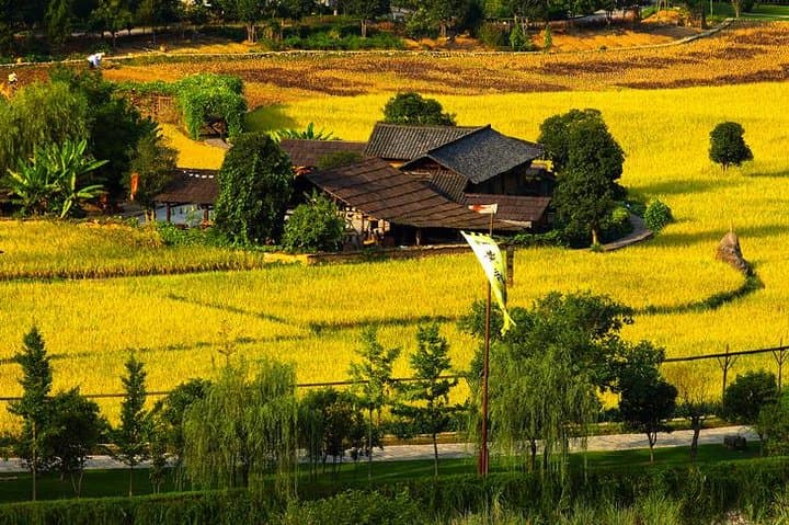 Zhangjiajie Grand Canyon, Yellow Dragon Cave & Baofeng Lake: Full-Day Adventure