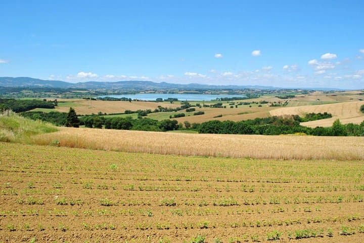 Premium Wine Tasting & Vineyard Tour in Umbria's Trasimeno Hills photo 3