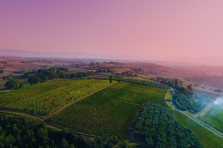 Premium Wine Tasting & Vineyard Tour in Umbria's Trasimeno Hills photo 4