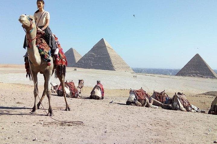 Sunrise Camel and Horse Safari Around the Giza Pyramids