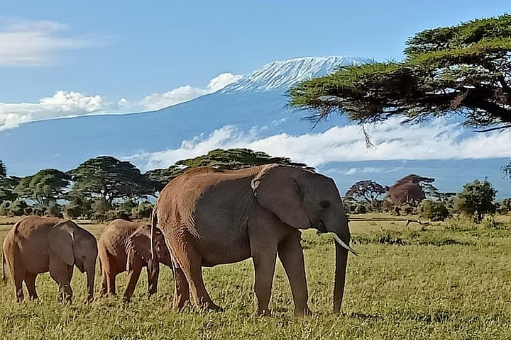 13-Day Photographers Safari in Kenya: Capture the Big Five and Beyond
