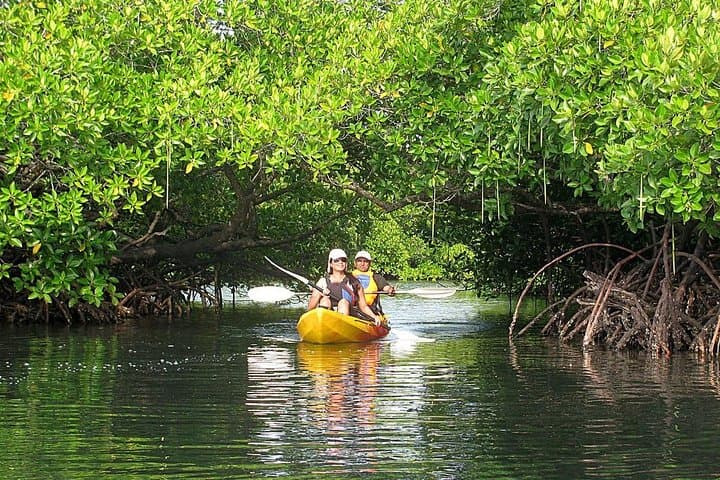 Kayaking Mangrove Adventure at Havelock Island — Guided Mangrove Paddle from the Jetty