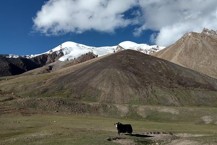 Shimshal Pass Trek & Minglik Sar (6050m) — 17-Day Karakoram Expedition
