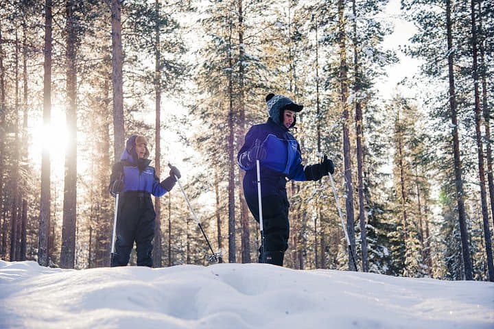 Ski Trekking Safari in Lapland: Backcountry Skiing from Rovaniemi photo 3