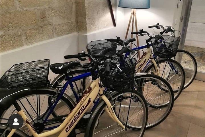 Explore Trapani by Bike: Historic-Center Rentals for a Full-Day Ride