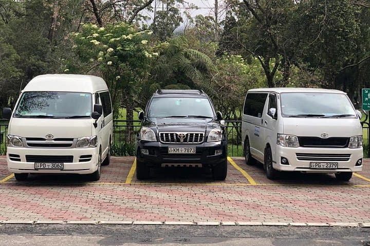 7-Day Private Chauffeur Tour of Sri Lanka from Colombo photo 6