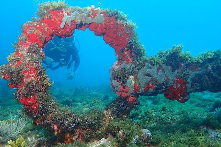 Advanced PADI Diving Course from Cartagena to Barú — 2-Day Advanced Open Water photo 4