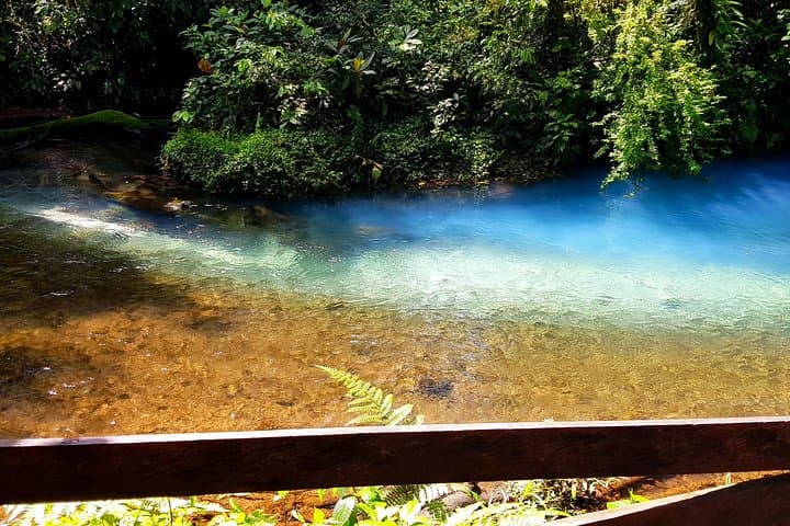 Rio Celeste Nature Hike — Tenorio’s Blue River Walk & Wildlife Viewing photo 3