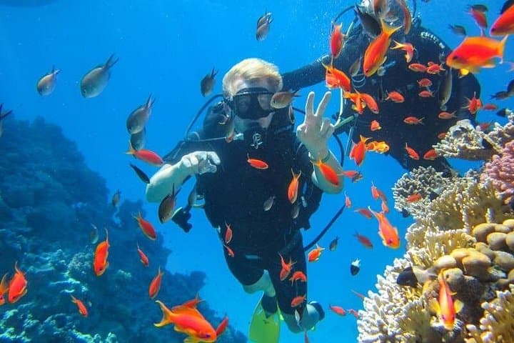 Giftun Island Snorkeling Day Trip from Hurghada — Budget-Friendly Red Sea Reefs photo 1