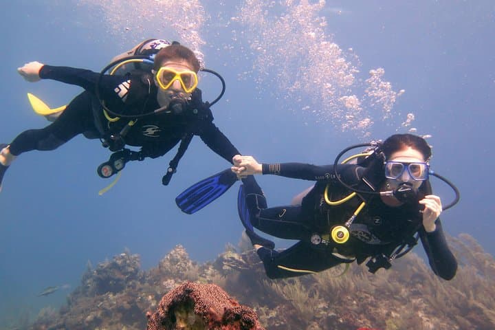 PADI Open Water Diver Course in Playa del Carmen: Learn to Dive to 60 ft photo 2