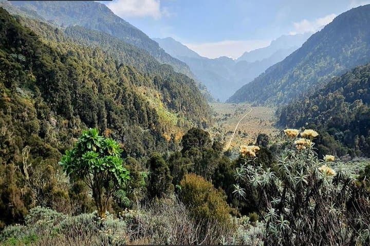 7-Day Rwenzori Mountains Trek to Pic Maria (4462 m) — DR Congo Hiking Adventure