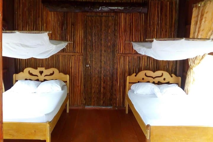 Amazon Antares Lodge: 6-Day Amazon Expedition from Iquitos photo 2