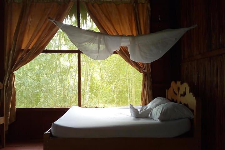 Amazon Antares Lodge: 6-Day Amazon Expedition from Iquitos photo 3
