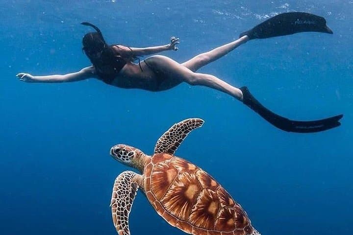 Blue Lagoon & Tanjung Jepun Snorkeling from Padangbai — All-Inclusive Trip with Lunch & Transfers