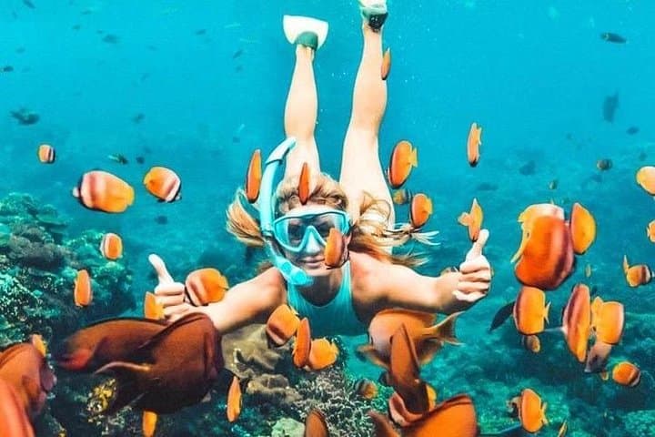 Discover the Underwater Wonders of Bali's Blue Lagoon photo 3