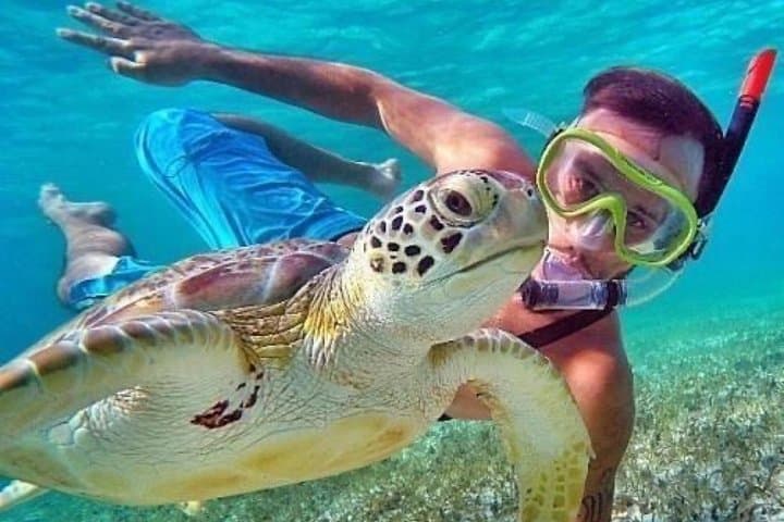 Dive into Adventure: Blue Lagoon Snorkeling & Bali Swing Combo