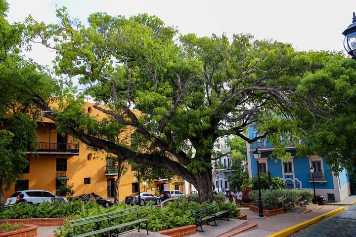 Old San Juan Walking Tour & Ron del Barrilito Rum Distillery Full-Day Experience photo 5