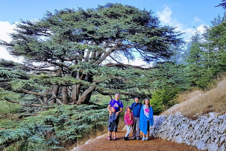 Private Day Trip from Beirut: Beiteddine, Deir el Qamar & Chouf Cedars