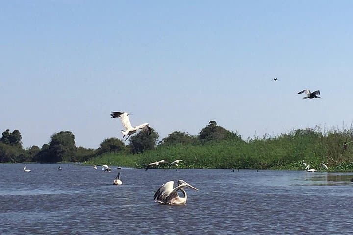 Prek Toal Bird Sanctuary Private Tour — Tonle Sap Boat Trip & Floating Village