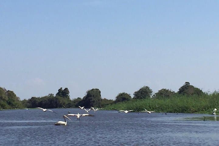 Prek Toal Bird Sanctuary Private Tour — Tonle Sap Boat Trip & Floating Village photo 4