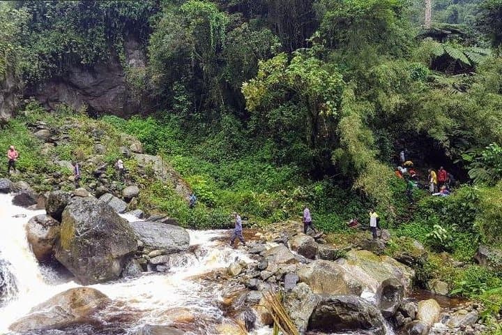 Touch the Glacier: 8-Day Rwenzori Mountains Trek to 4,350 m photo 5