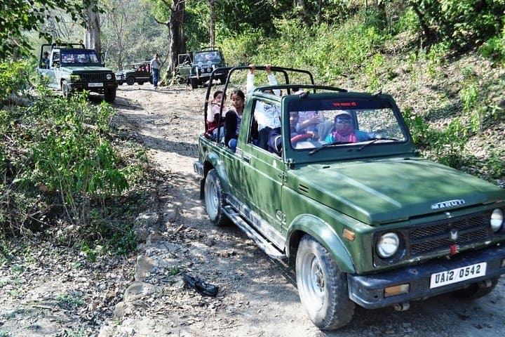 Chilla Range Jeep Safari: Rajaji National Park Wildlife from Rishikesh
