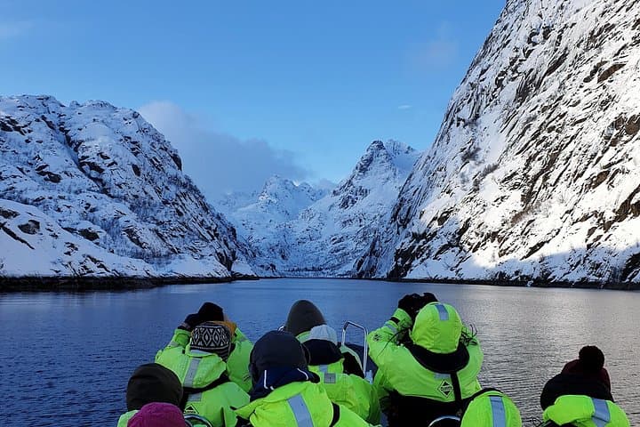 Trollfjord & Sea-Eagle Safari from Svolvær — 2-Hour Lofoten Coastal Boat Tour