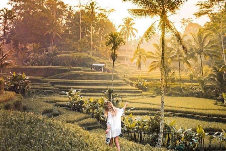 Private Ubud Day Tour: Monkey Forest, Tegalalang & Tegenungan (Free WiFi)
