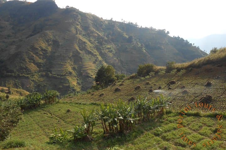 Uluguru Mountains Hike to Bondwa Peak — 2-Day Camping Trek from Morogoro photo 2