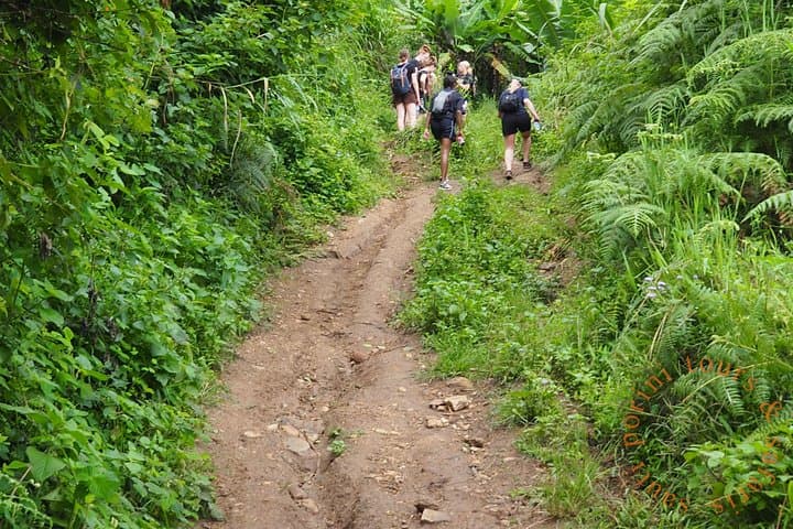 Uluguru Mountains Hike to Bondwa Peak — 2-Day Camping Trek from Morogoro photo 3