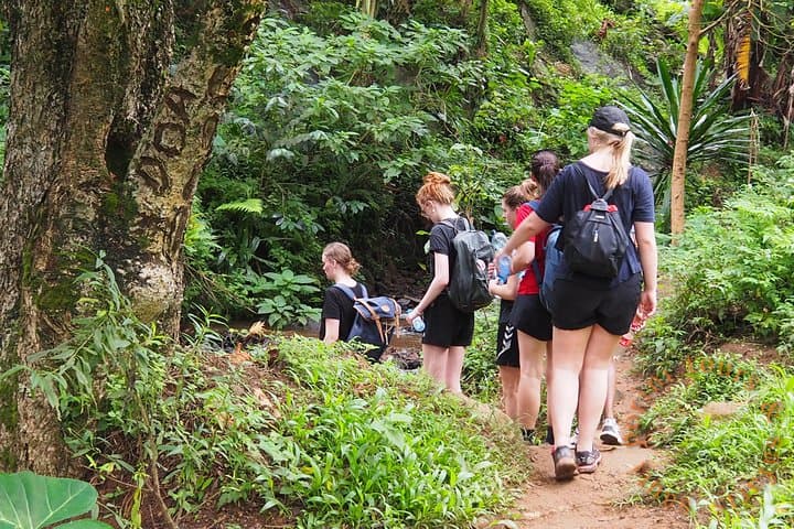 Uluguru Mountains Hike to Bondwa Peak — 2-Day Camping Trek from Morogoro photo 4