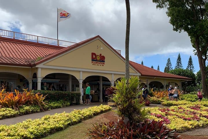 Oahu Full-Day: Pearl Harbor, Dole Pineapple Plantation & North Shore Highlights