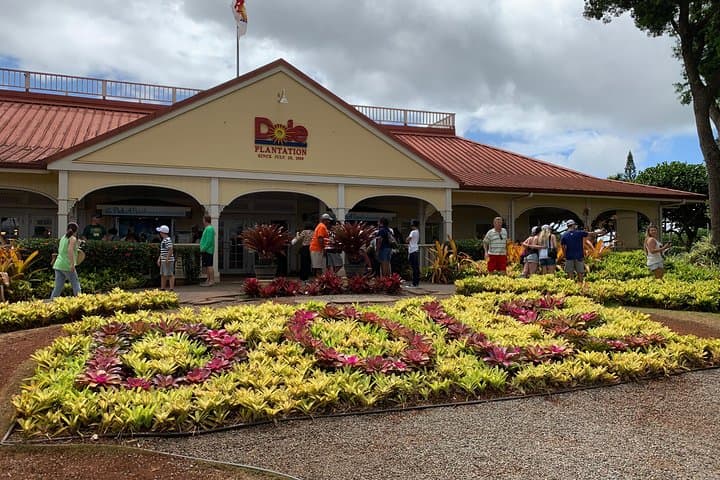 Oahu Full-Day: Pearl Harbor, Dole Pineapple Plantation & North Shore Highlights photo 2
