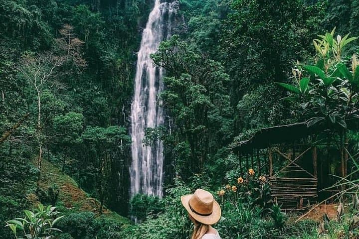 Materuni Waterfalls, Coffee Tour & Kikuletwa (Chemka) Hot Springs Day Trip photo 1