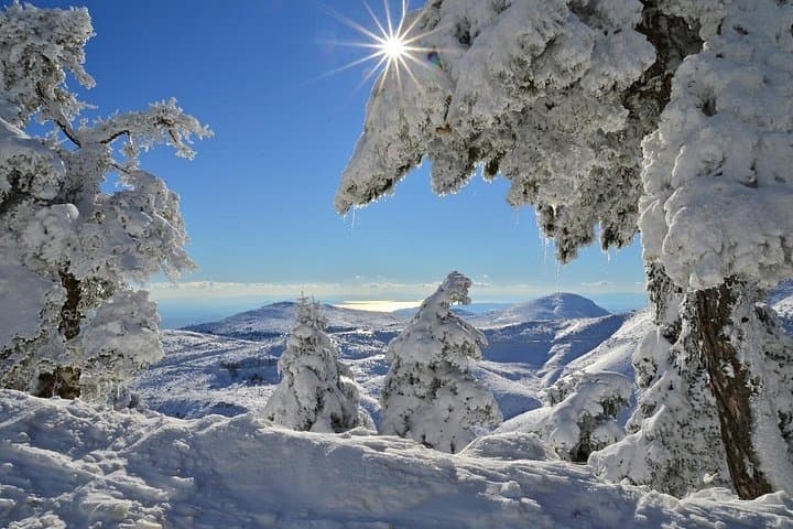 Day Hikes on Mount Parnitha: Flambouri Refuge Trails Near Athens photo 2